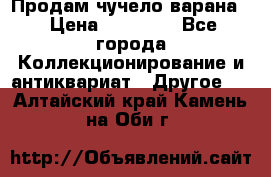 Продам чучело варана. › Цена ­ 15 000 - Все города Коллекционирование и антиквариат » Другое   . Алтайский край,Камень-на-Оби г.